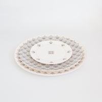 Zighy Dinner Plate